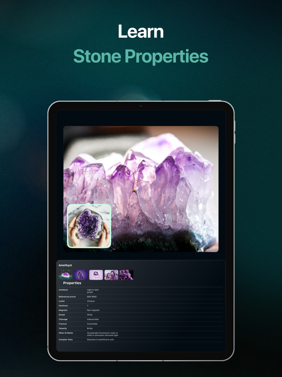 Stone Identifier - Rock Finder iPad screenshot 4 - Education app