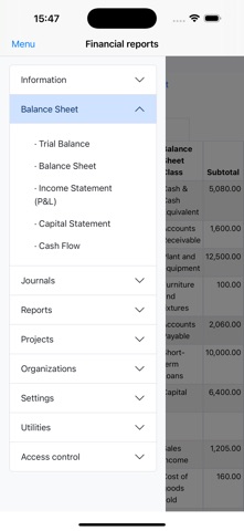 Nano Balance Sheet Screenshot 2 of 10