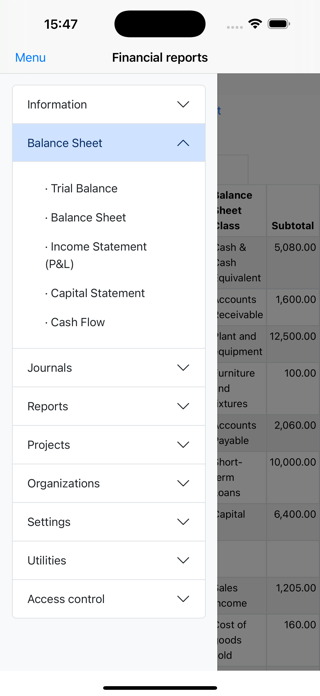 Nano Balance Sheet Screenshot 2 of 10