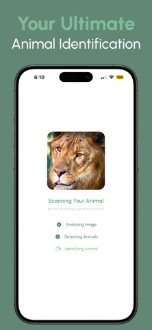 Animal Identifier: AI screenshot