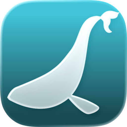 Immerse Research