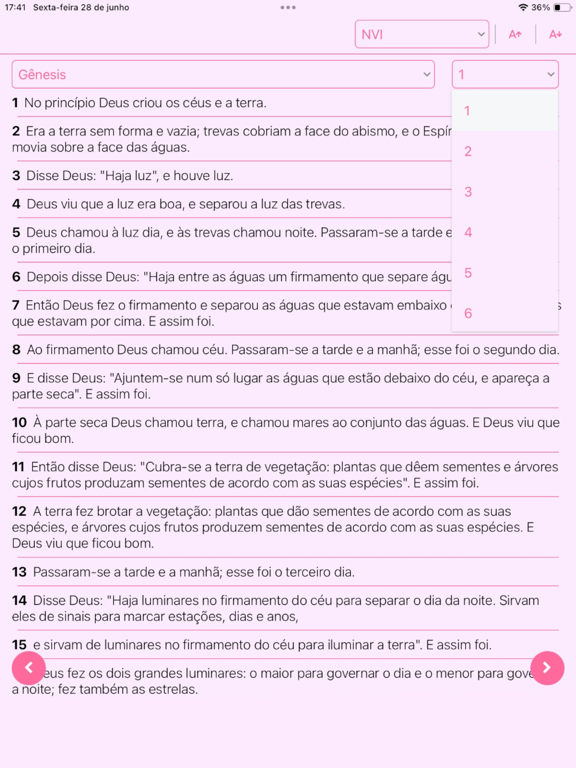 Bíblia para Elas iPad screenshot 3 - Reference app