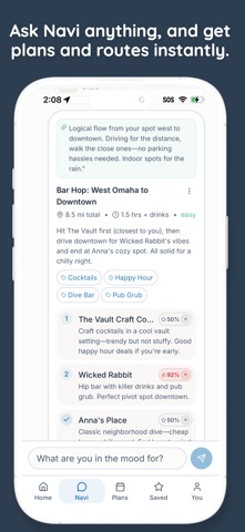 Navi: AI Travel & Safety Guide screenshot