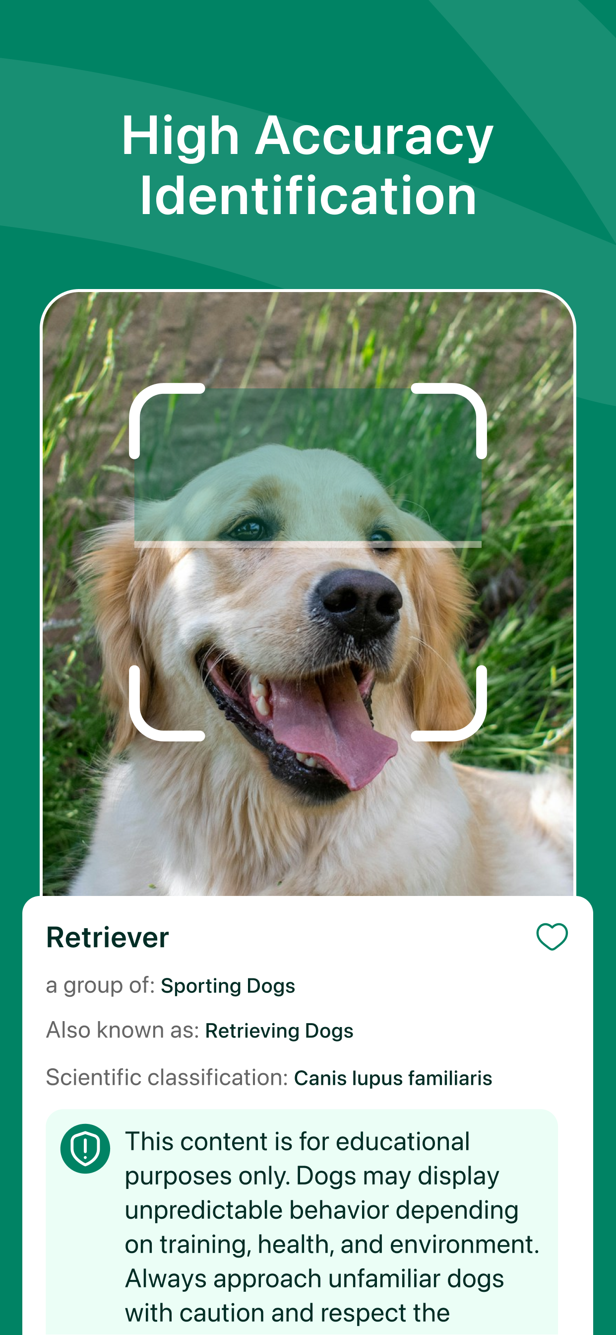 Dog Breed Identifier + AI screenshot 4