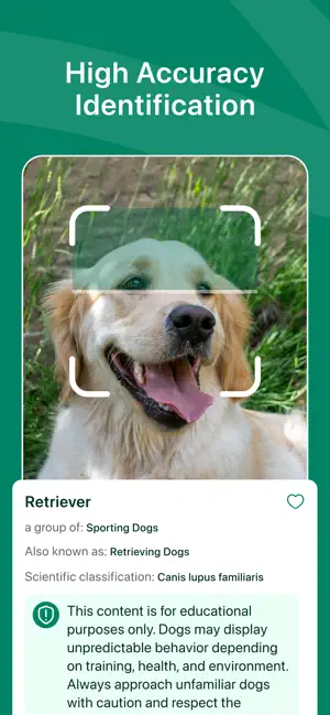Dog Breed Identifier + AI screenshot 4