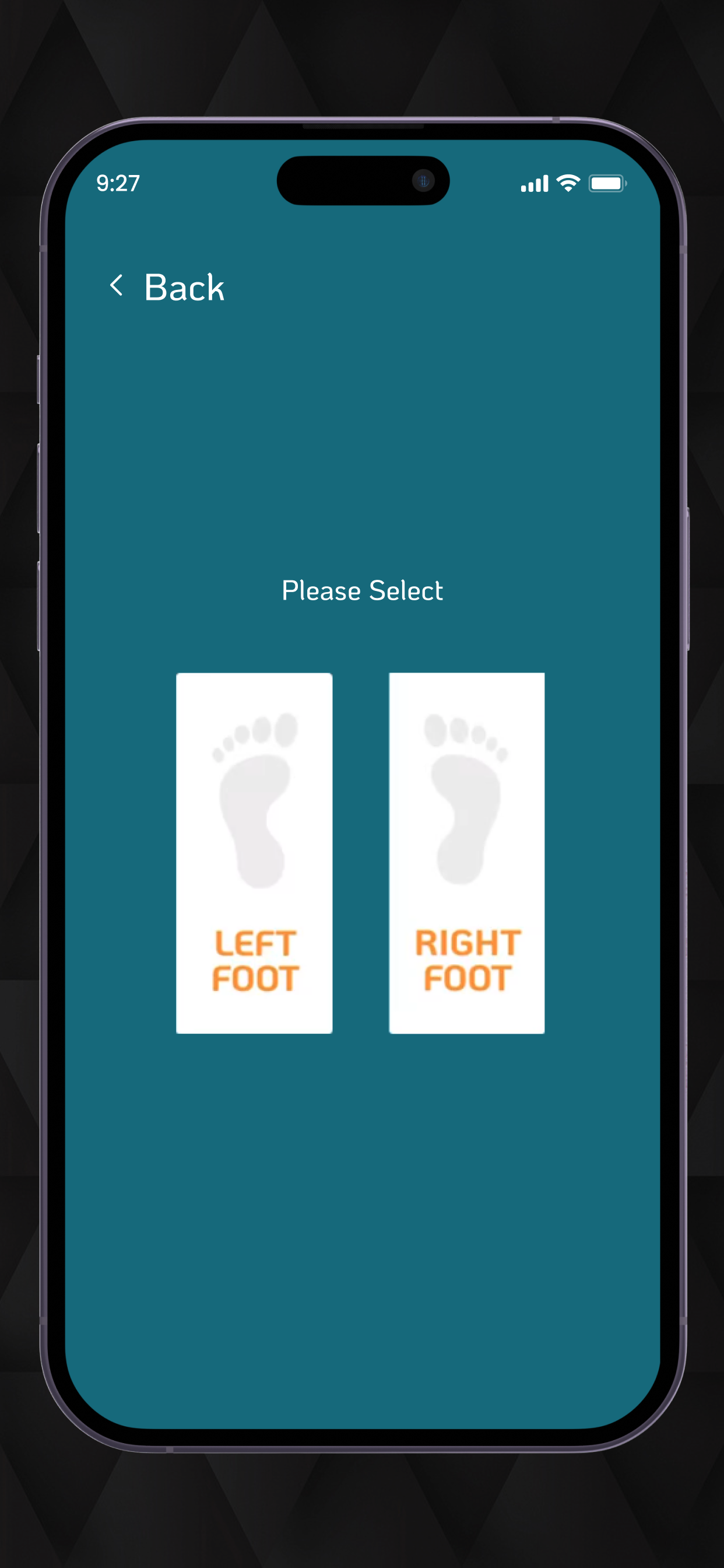 Sole Scan Pro