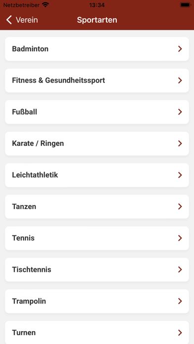 TV Metjendorf 04 Screenshot