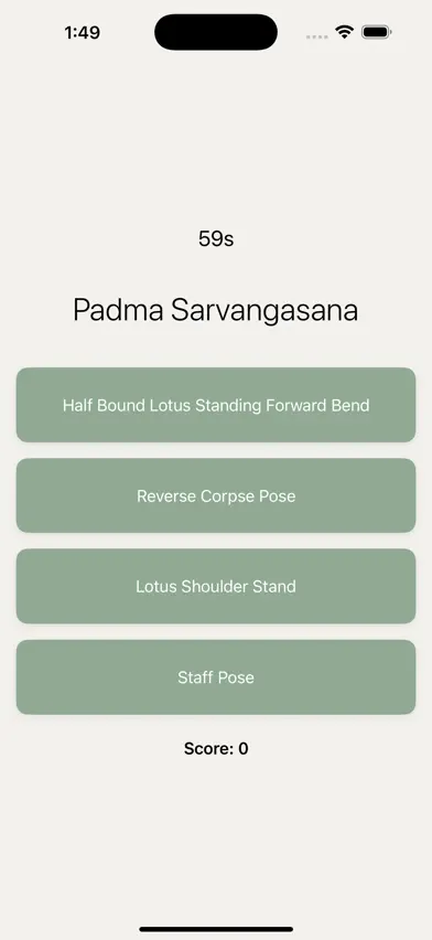 Name that Asana screenshot 2