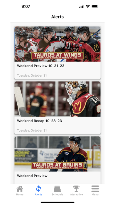 Tauros Hockey Screenshot