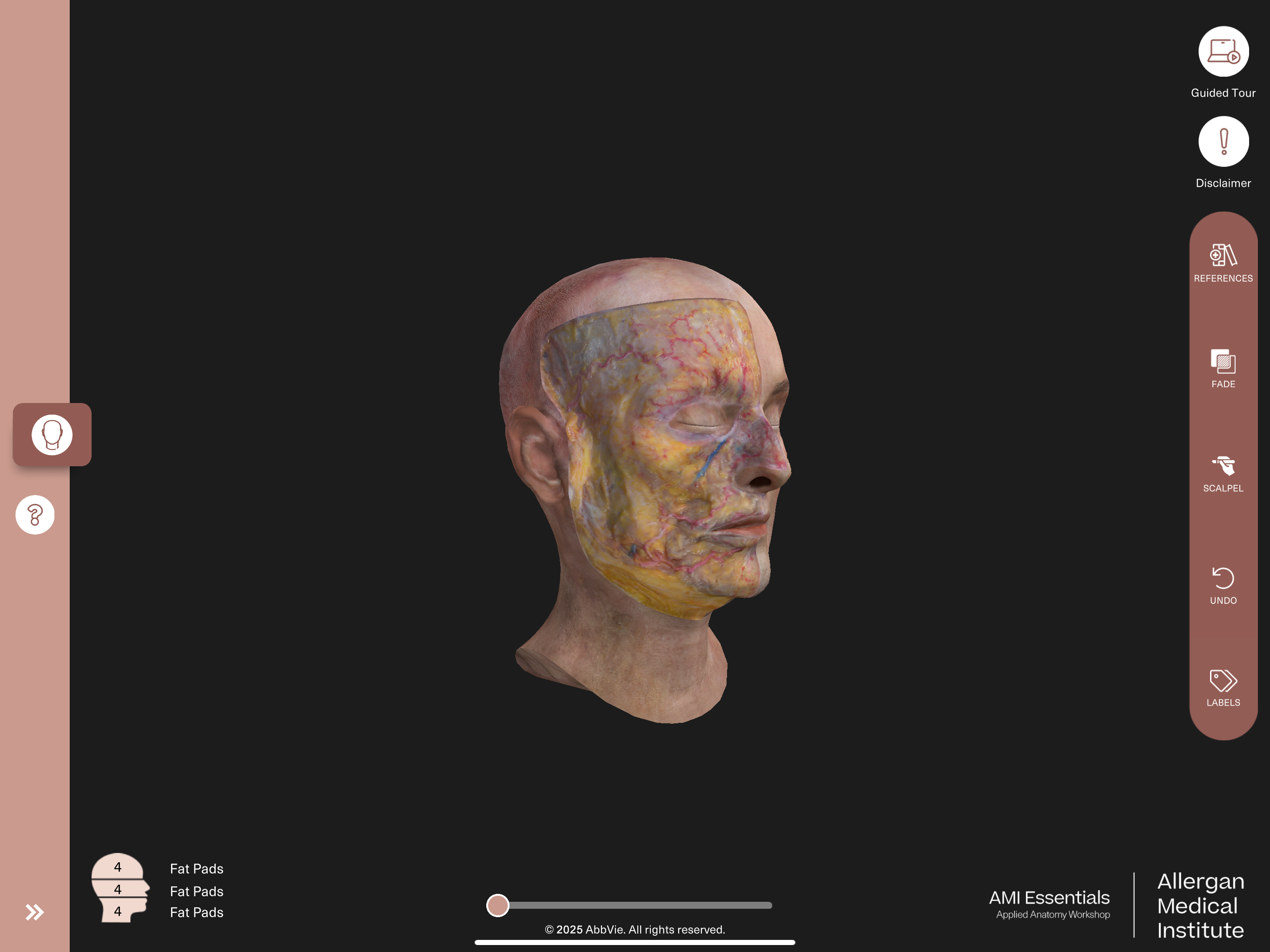 AMI Essentials: 3D Anatomy IL screenshot 17
