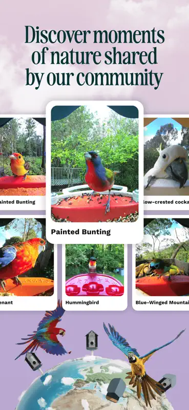 Birdbuddy: ID & Collect Birds screenshot 5 of 5
