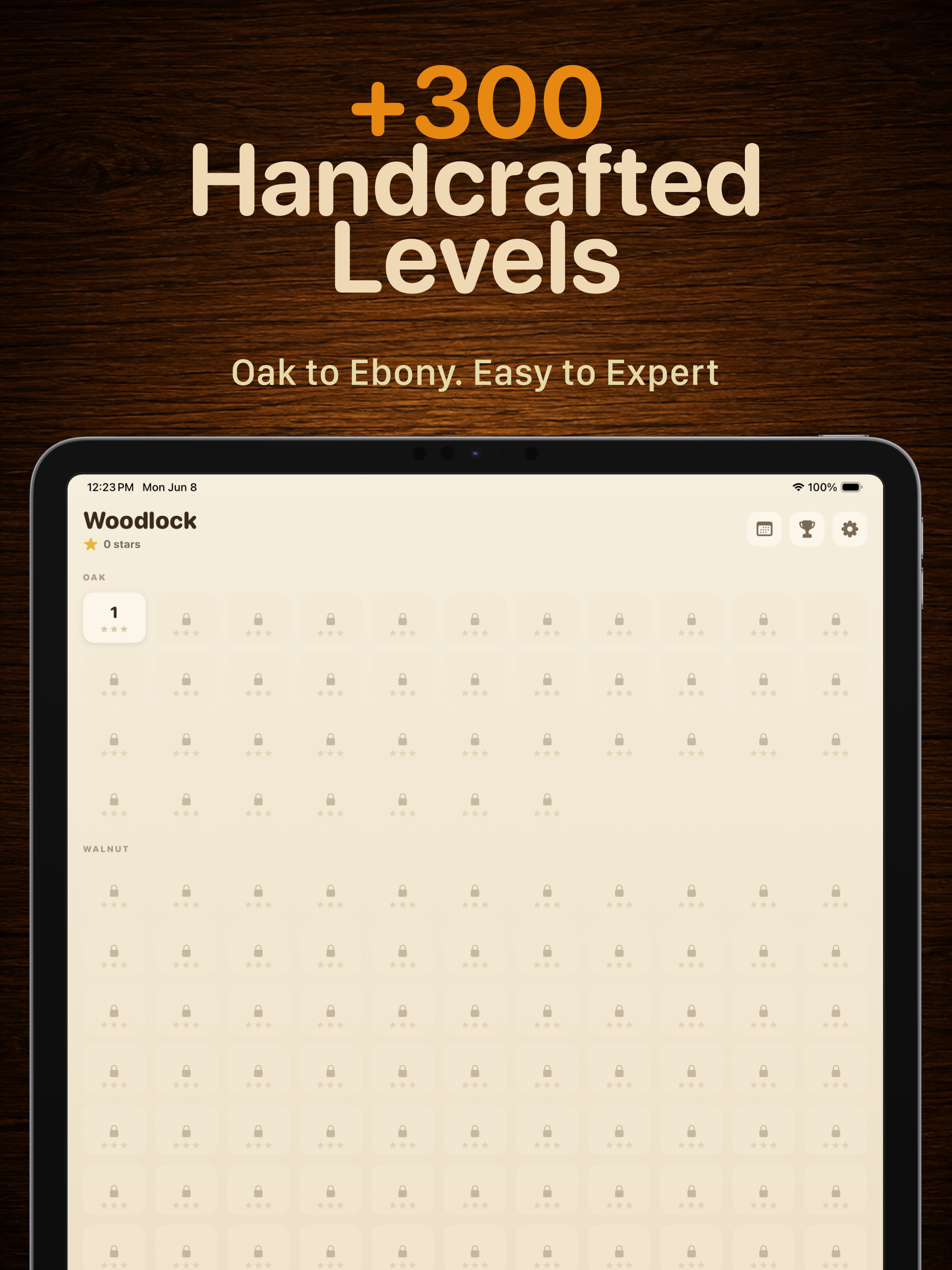 Woodlock: Unblock Puzzle screenshot 7