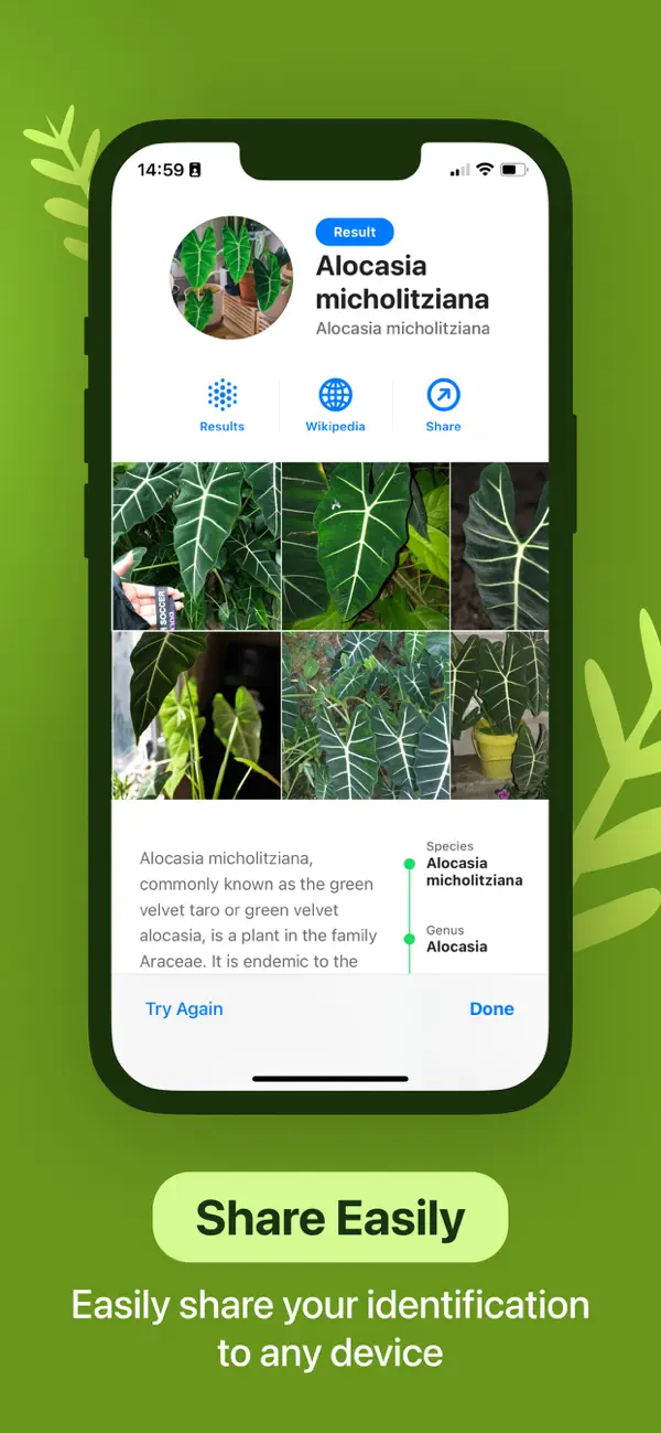 #6. Leaf Identification (iOS) 由: Le Giang Nam