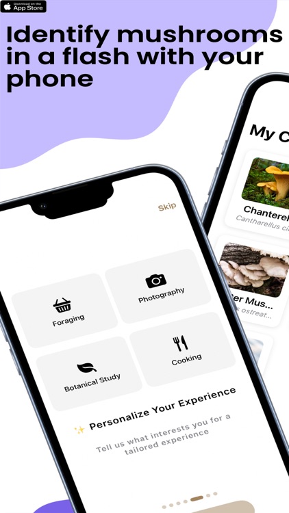 Mushroom ID : Scan of mushroom