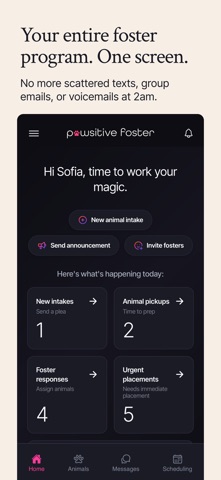 Pawsitive Foster screenshot