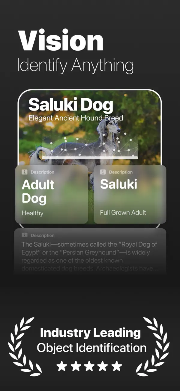 #1. Vision・Identify Anything (iOS) Ved: Myriad Studios