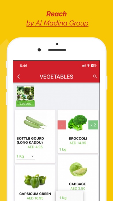 Reach by Al Madina Group Screenshot