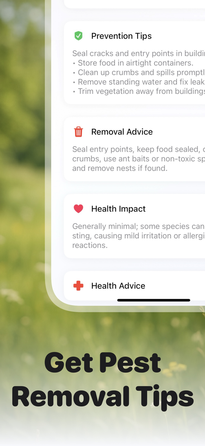 Picture Insect Bug ID