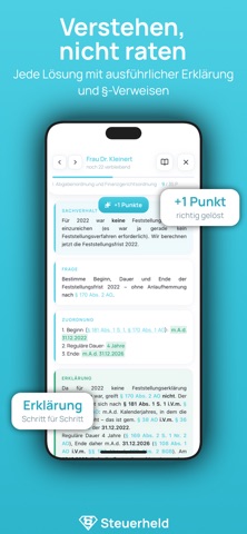 Steuerheld screenshot