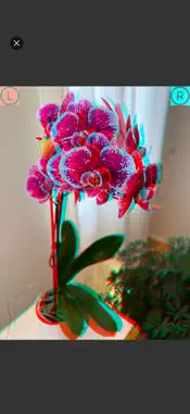 Cameranaglyph screenshot 10