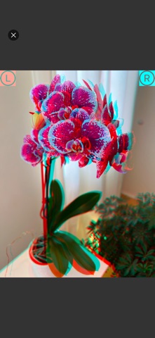 Cameranaglyph screenshot