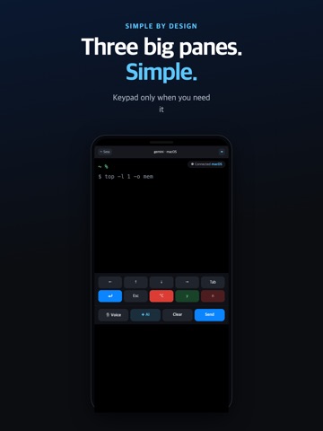 HiTerminal — SSH Voice & AI iPad screenshot