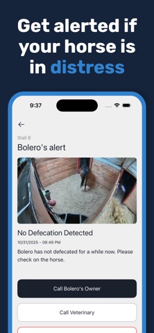 Equus AI screenshot