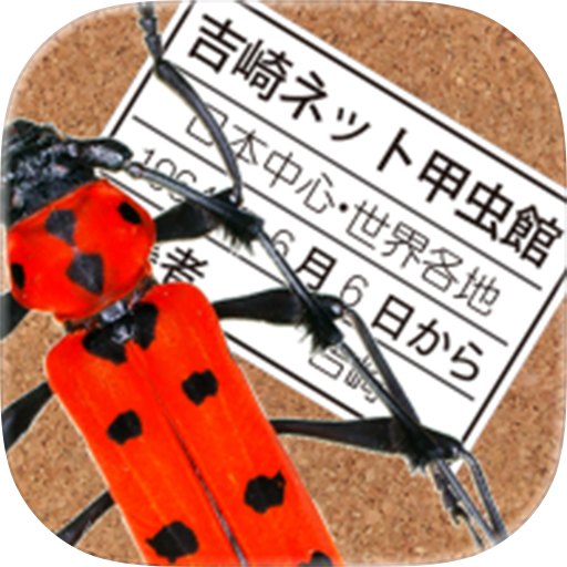 MUSHIDB.com