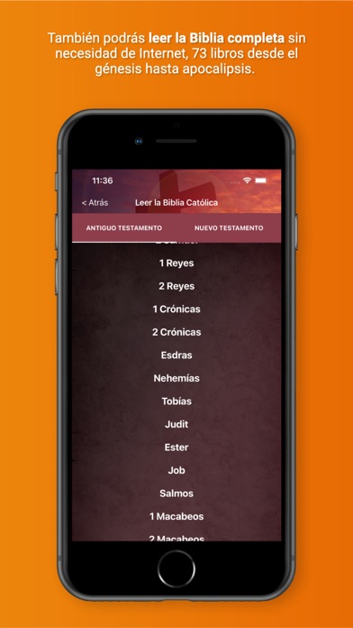Biblia Católica Hablada Audio Screenshot