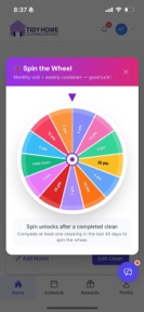 Tidy Home Cleaning Services screenshot