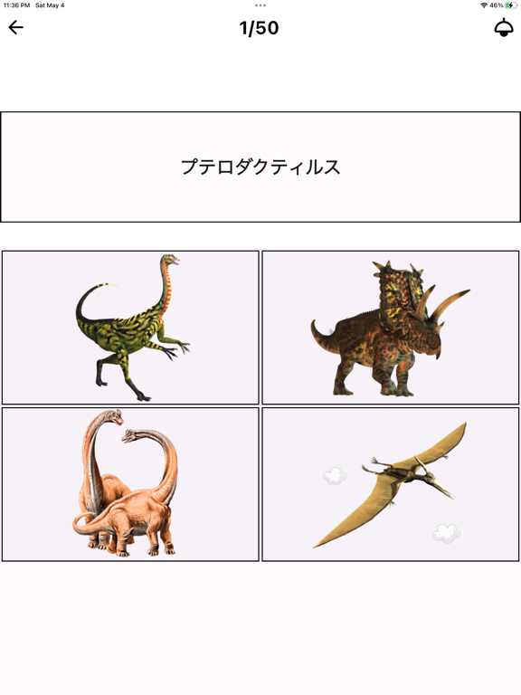 恐竜クイズ Dino Flash Card