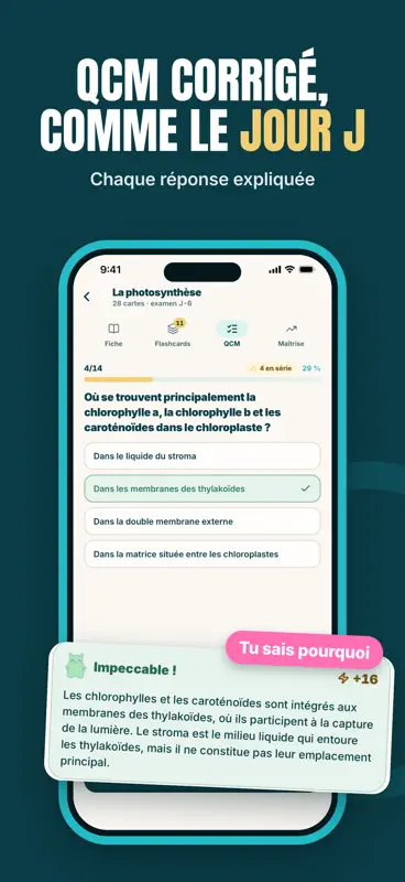 Revizly : fiches de révision screenshot 5 of 8