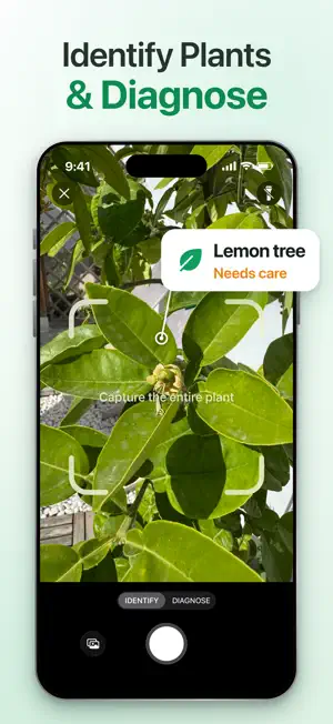 BotanicMate: Plant Identifier screenshot 1