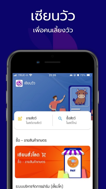 เซียนวัว