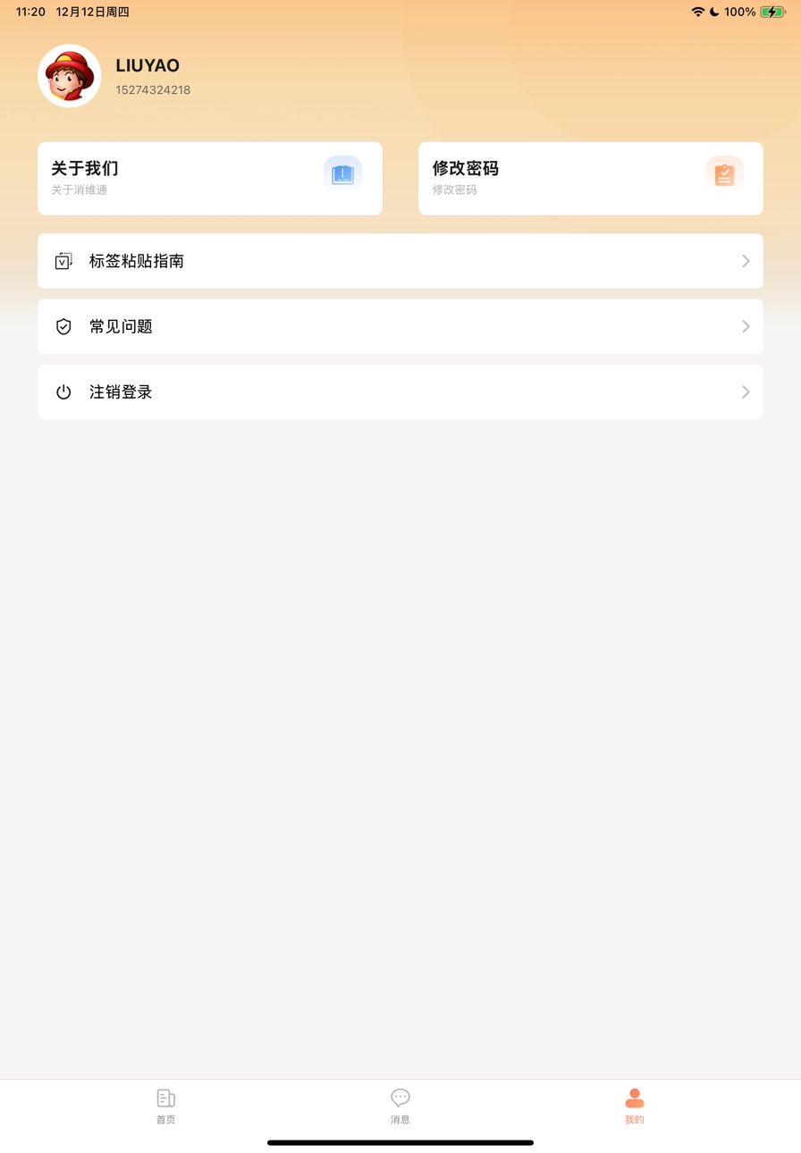 iPad screenshot