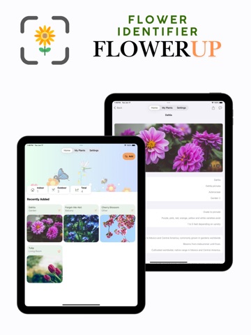 FlowerUP: Flower Identifier iPad screenshot