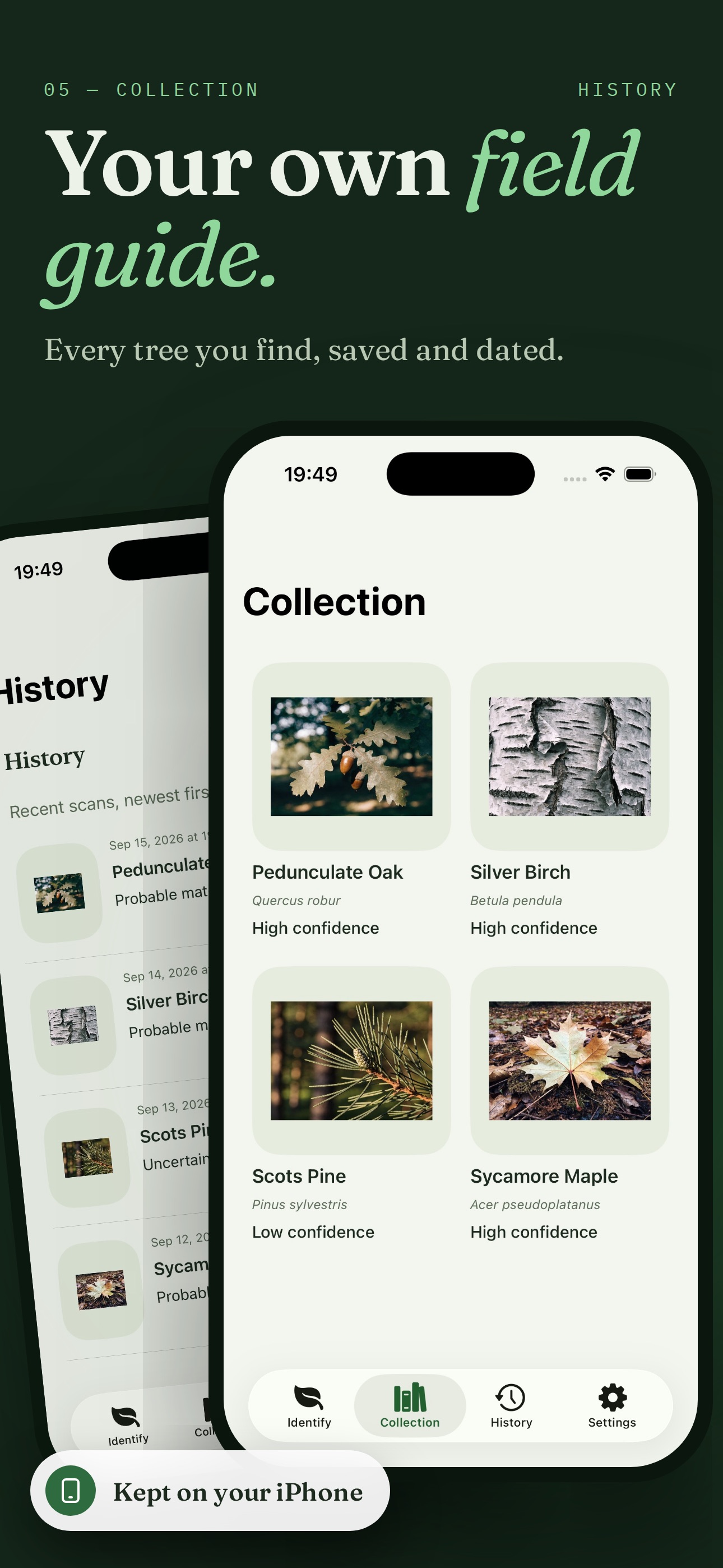 Screenshot 5 of Tree Identifier: Bark Scanner