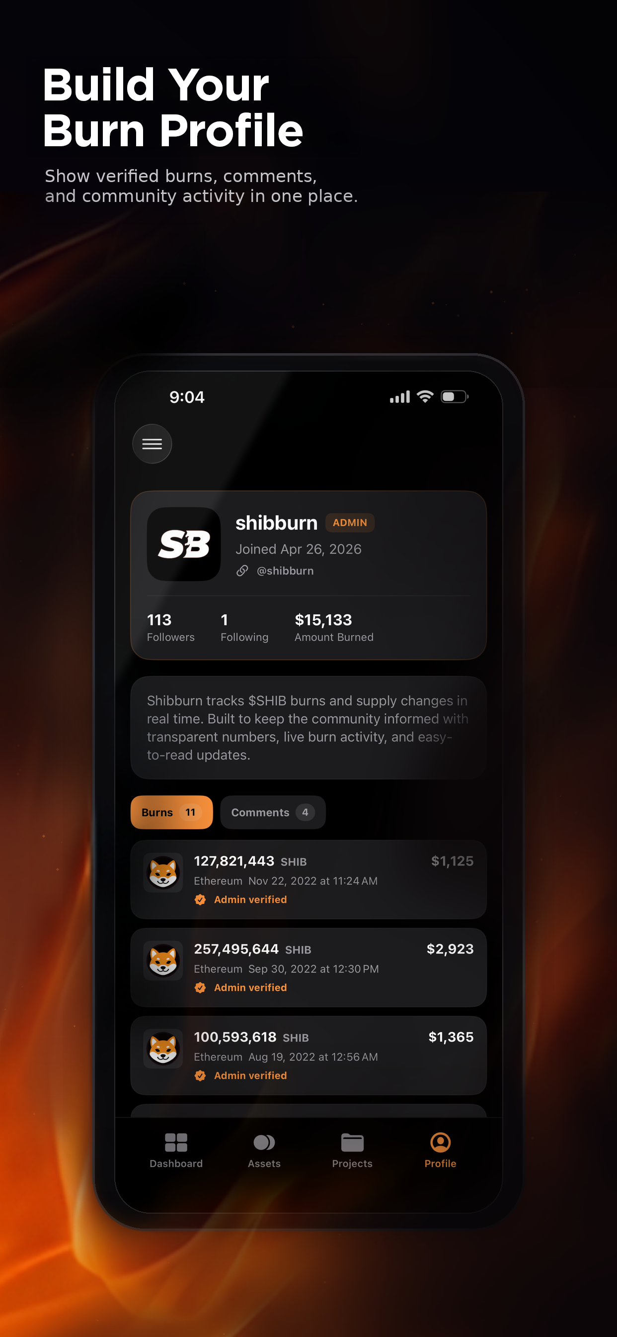 Burnalytics screenshot 4