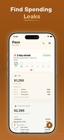 AI Weekly Spend Tracker - Pace Screenshot 7 of 7