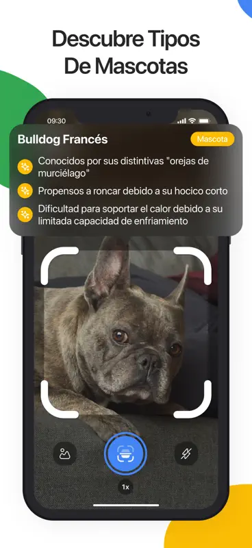 Lens Scan: Escanear Imagenes screenshot 5 of 6
