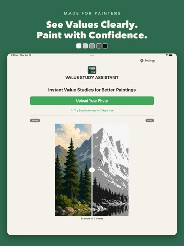 Value Study Assistant iPad screenshot
