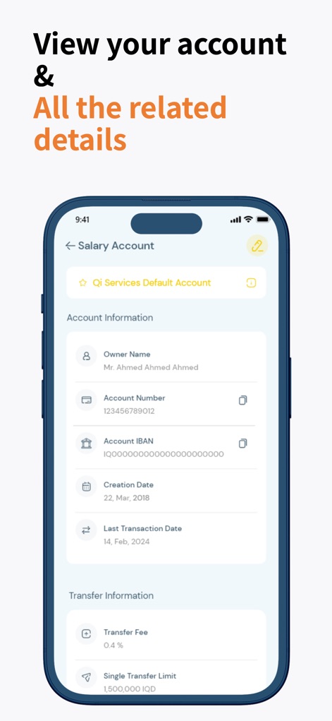 Qi Services - Get a detailed look at account specifics, featuring a comprehensive "Account Information" section and clear "Transfer Information" metrics.