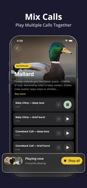 Hunting Calls: Wildlife Sounds screenshot 2