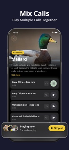 Hunting Calls: Deer Duck Elk screenshot
