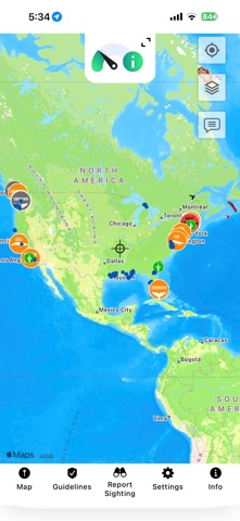 Whale Alert screenshot