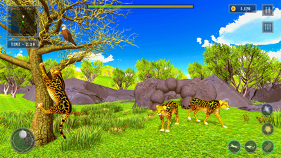 Screenshot #1 pour Simulateur guépard sauvage