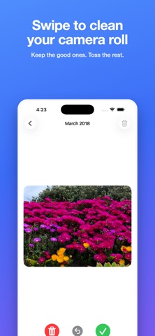 Tidybird: Photo Cleaner screenshot
