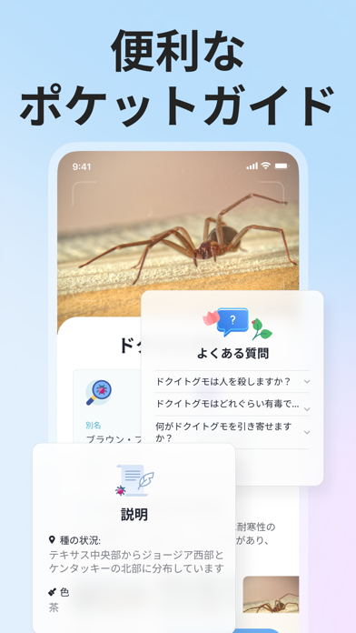 Picture Insect: 写真から昆虫やクモを識別するのスクリーンショット - 5