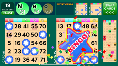 Bingo Deluxe Screenshot
