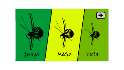 Capoeira Instruments & Lyrics Screenshot